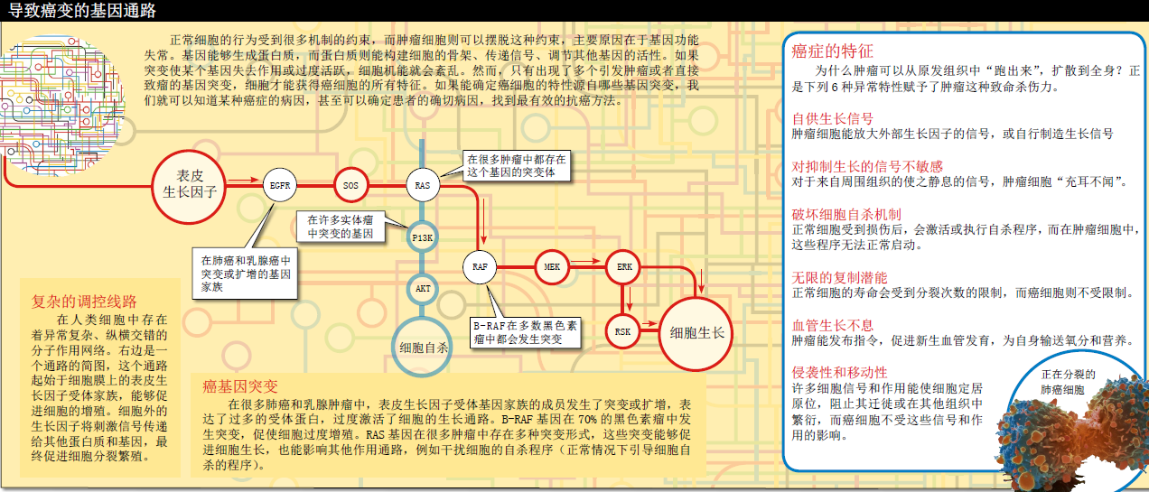 破译癌症密码 (2).png