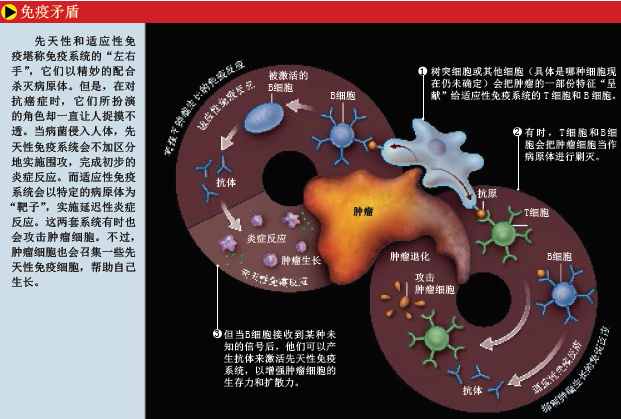 免疫系统竟是癌症帮凶 (2).png