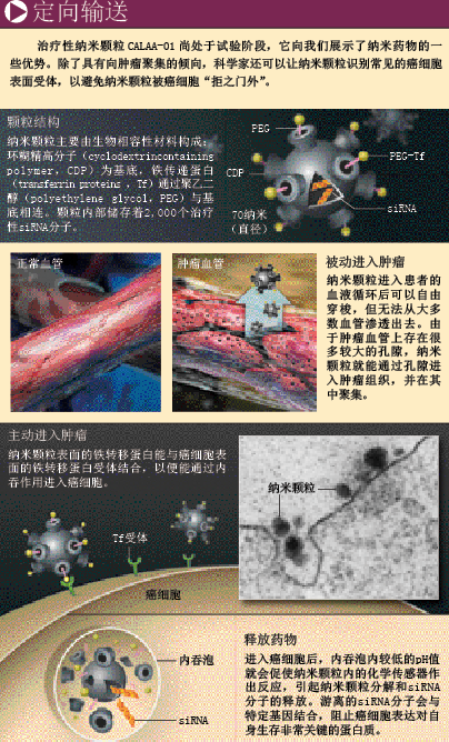 纳米“医生” (4).png