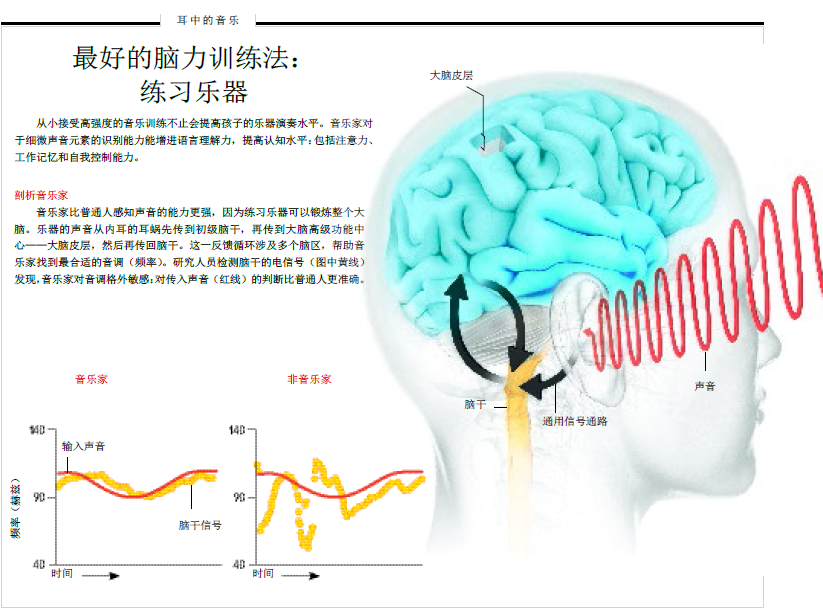 打造天才大脑 (4).png