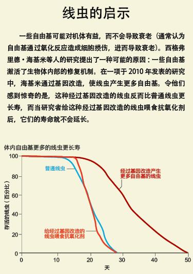 自由基可以抗衰老？.jpg