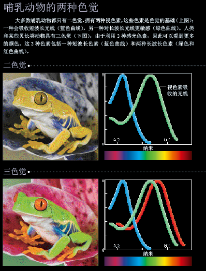 进化里程碑：人类看到了彩色的世界 (2).png