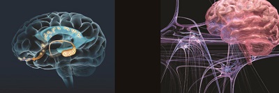 Six Ways to Boost Brainpower_页面_4 4.jpg