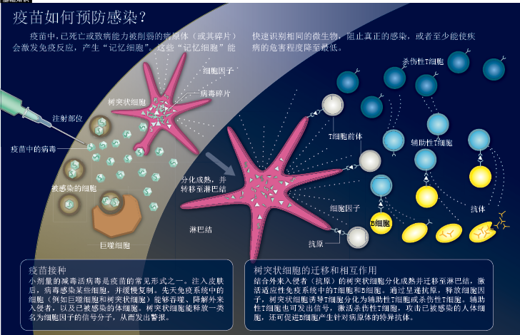 突破疫苗预防局限 (2).png