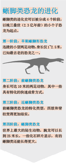 恐龙为何这么大.png