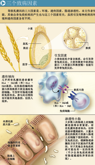 面食引发的致命腹泻 (3).png