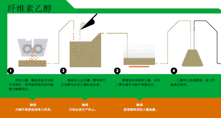 生物能源 (3).png