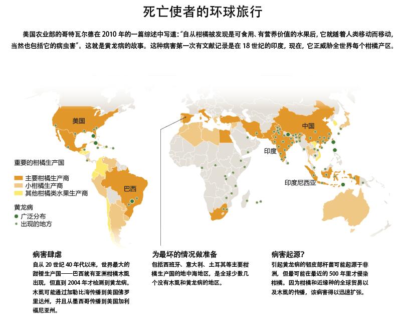 柑橘业将毁灭？.jpg