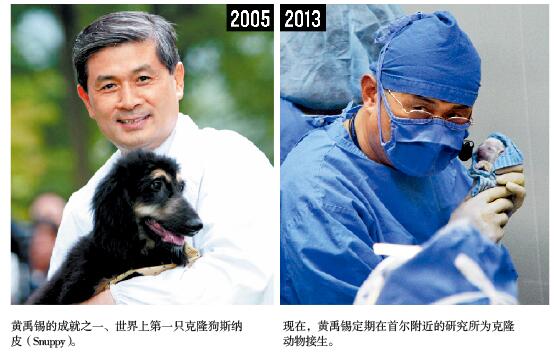 黄禹锡东山再起.jpg