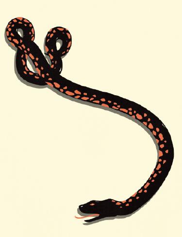 RNA：未来药物1.jpg