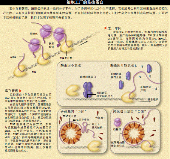 关闭细菌 (2).png