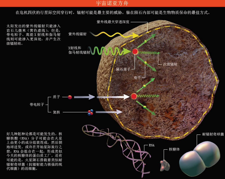 生命来自外星球？ (2).png
