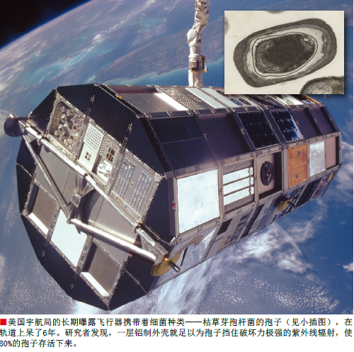 生命来自外星球？ (4).png