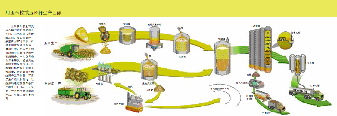乙醇燃料风波骤起 (3).png