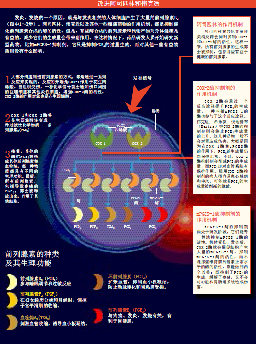 镇痛药的安全漏洞.png