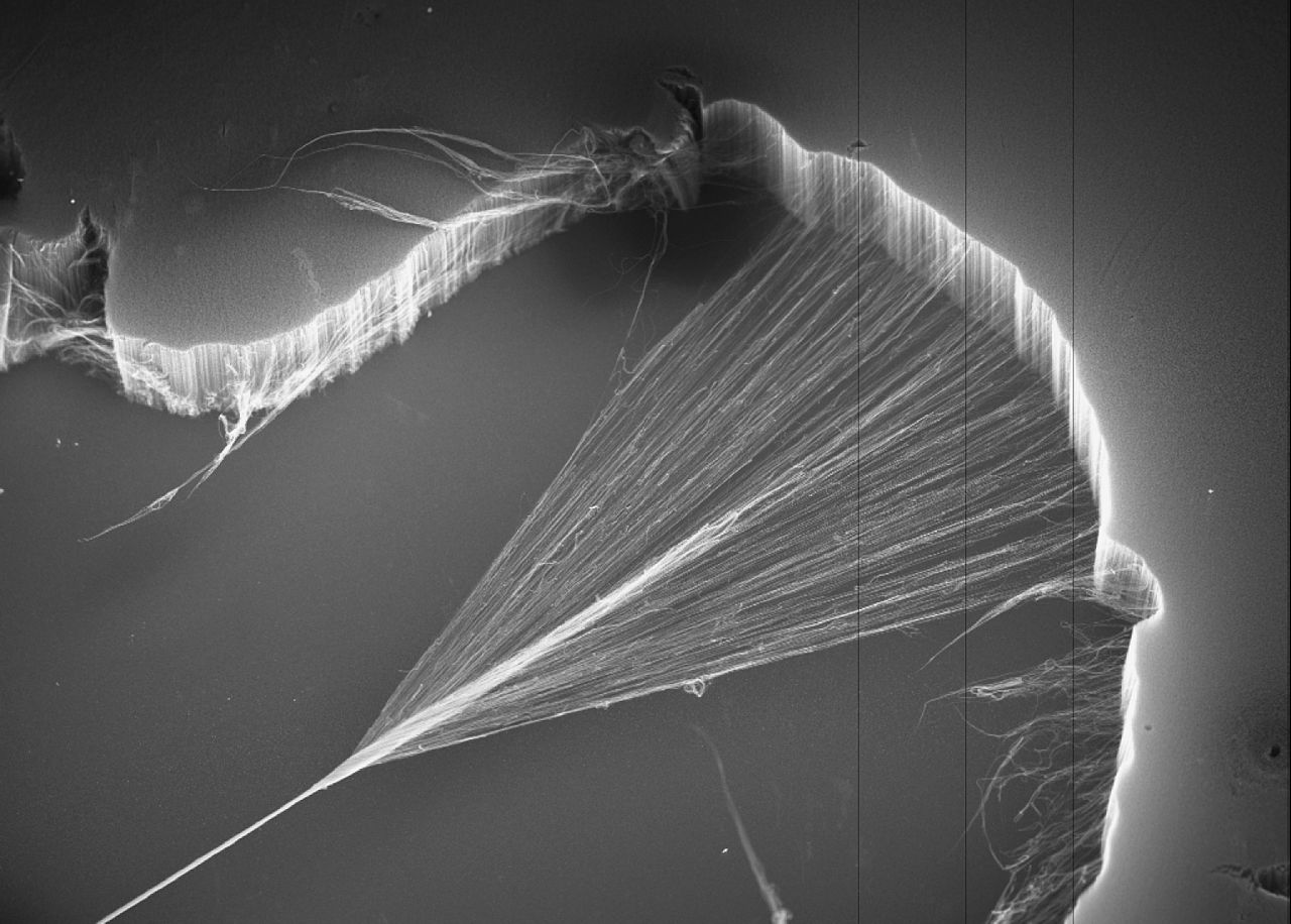CSIRO_ScienceImage_1074_Carbon_nanotubes_being_spun_to_form_a_yarn.jpg