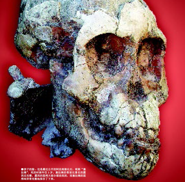 地球最古老的小孩 (6).png