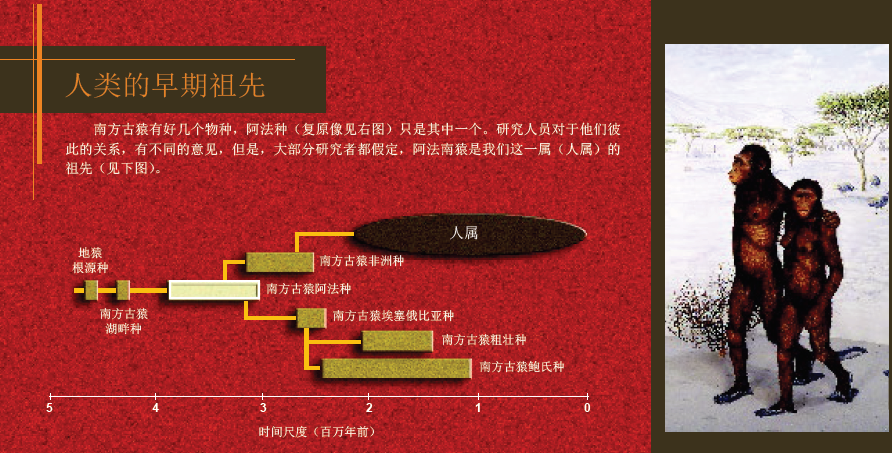 地球最古老的小孩 (1).png