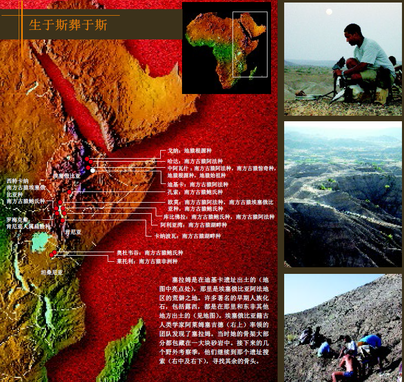 地球最古老的小孩 (5).png