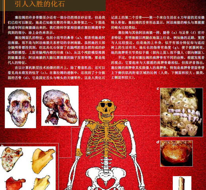地球最古老的小孩 (4).png