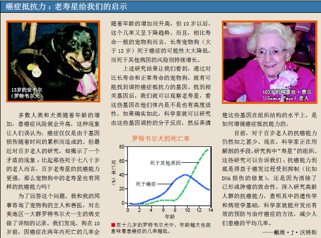攻克癌症的关键 (2).png