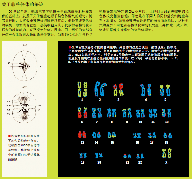 癌症病因 (3).png