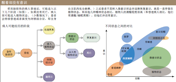 唤醒植物人 (1).png