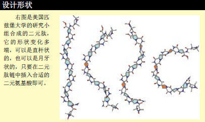 定做一个蛋白质 (5).png