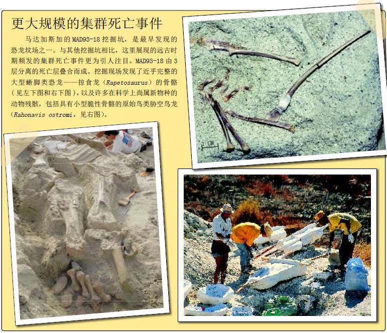 谁屠杀了马达 加斯加的恐龙 (1).png