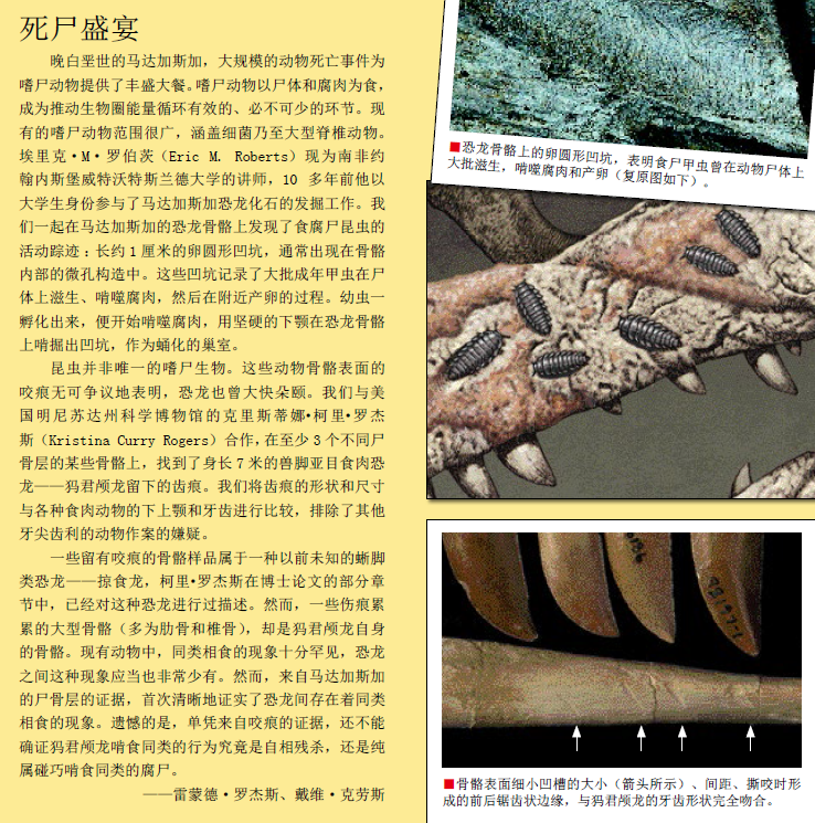 谁屠杀了马达 加斯加的恐龙 (4).png