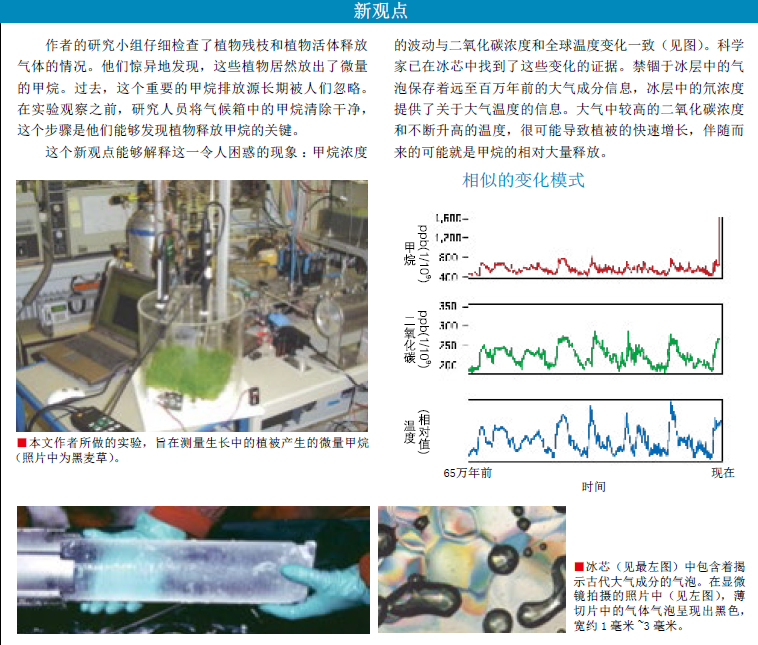 植物无辜 (2).png