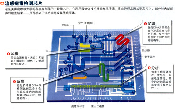 口袋里的实验室 1.jpg