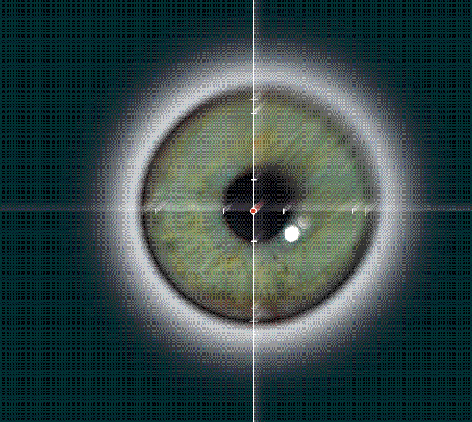 眼睛泄露 (1).png