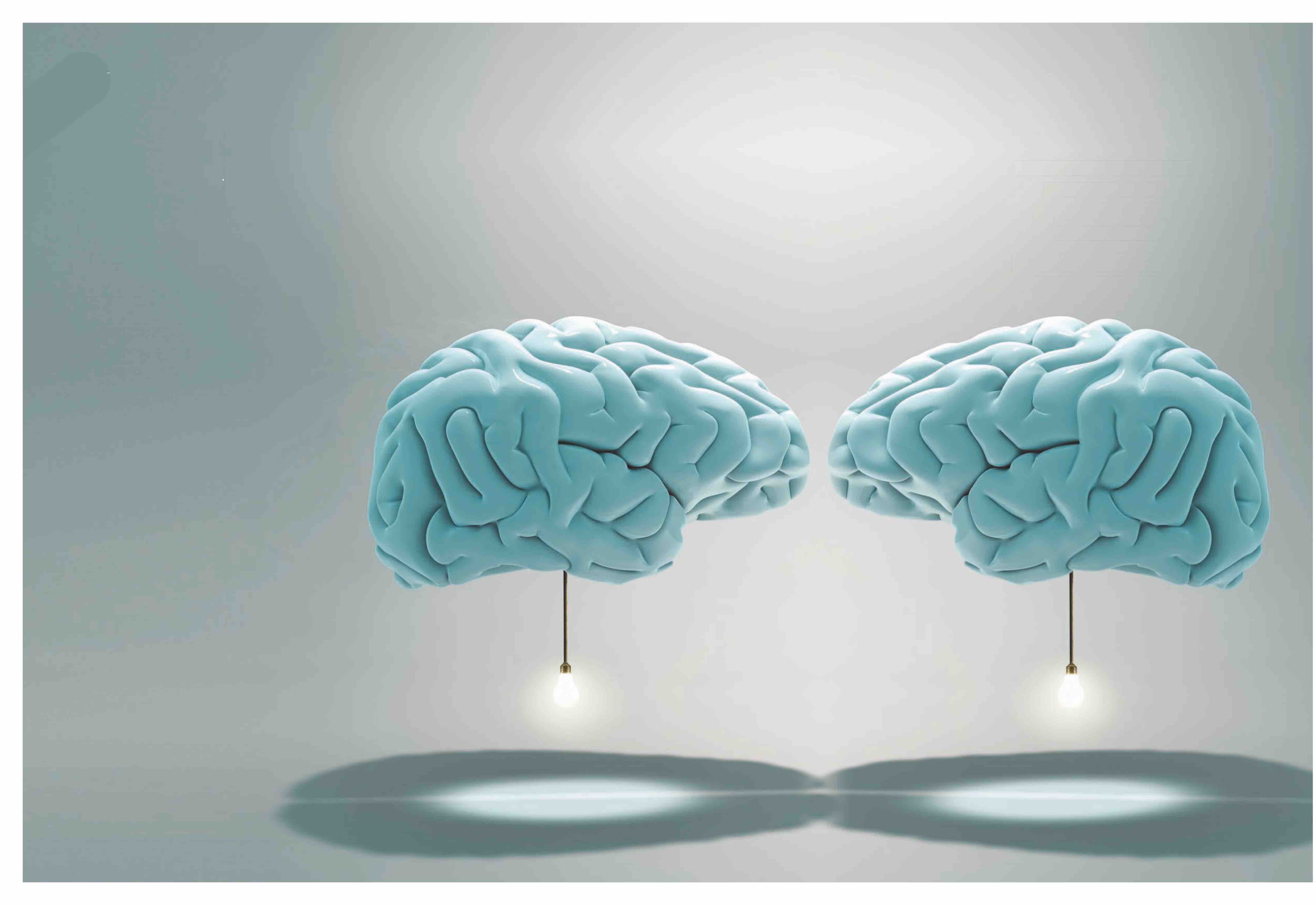 brain connect－合.jpg