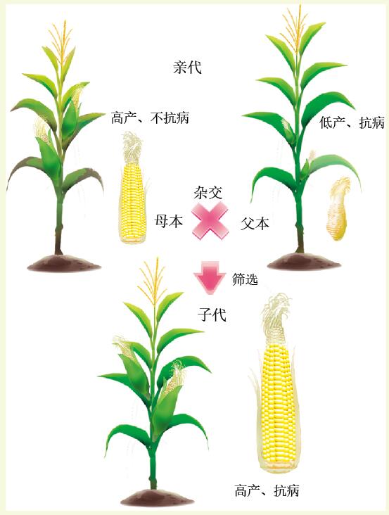 201602p22_f2.jpg