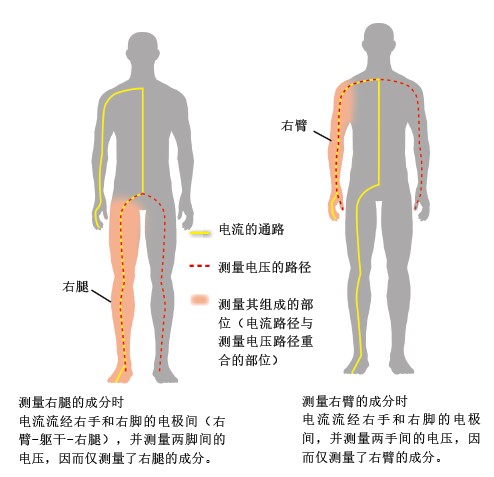 20151090人体脂肪测量仪_f2.jpg
