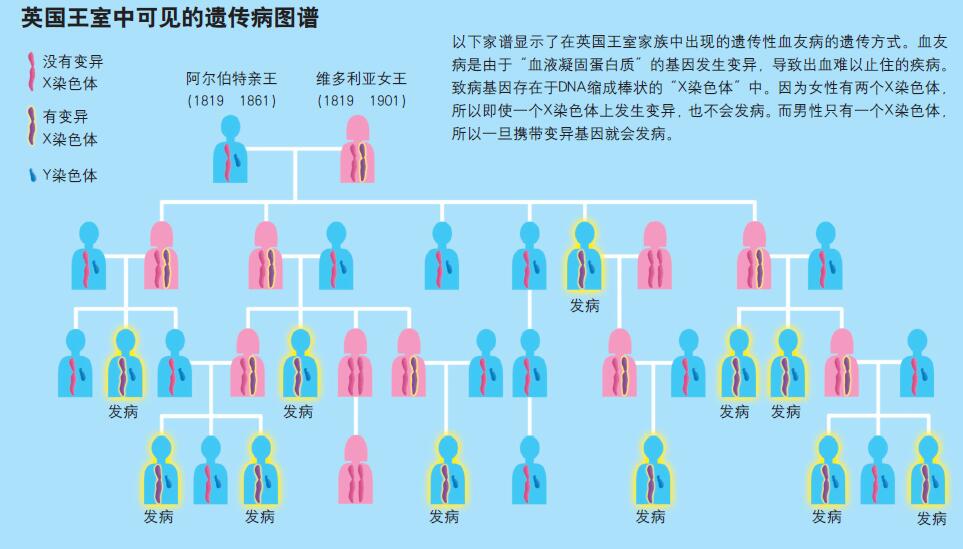 120416_基因治疗-4 图1.jpg