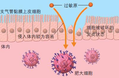 120529_过敏-3 图.jpg