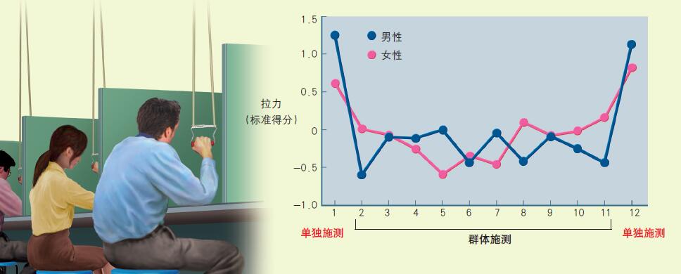 120712_随大流-3 图.jpg