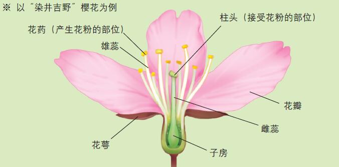 120811_花儿五彩缤纷-2 图.jpg