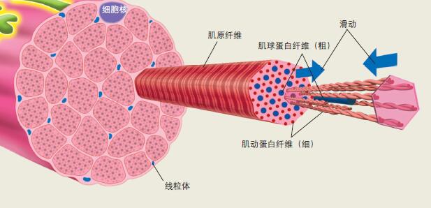 120839_奥运-8 图.jpg