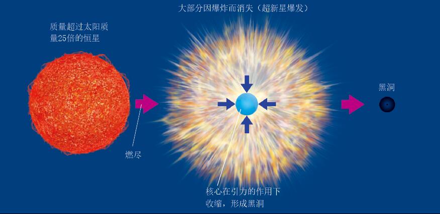 201604p16_f2.jpg