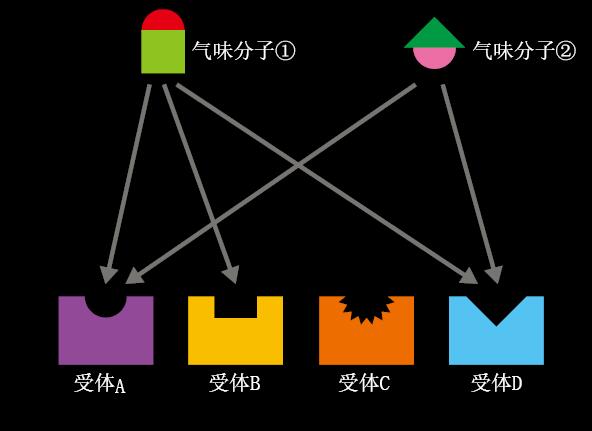 201604p88_f2.jpg