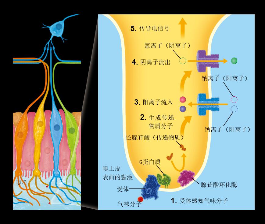 201604p92_f1.jpg