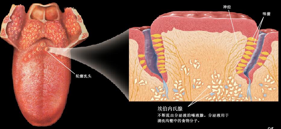 201604p94_f2.jpg