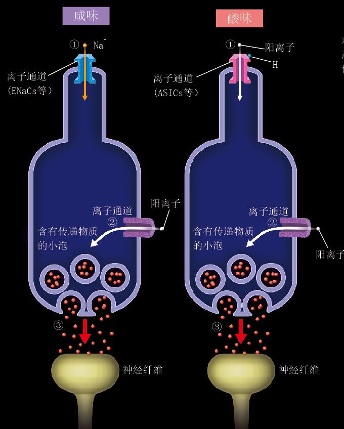 201604p98_f2.jpg
