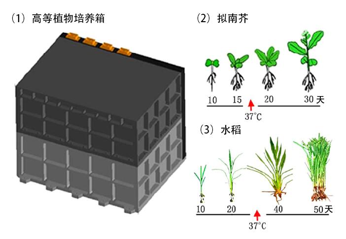 201606p10_f2.jpg
