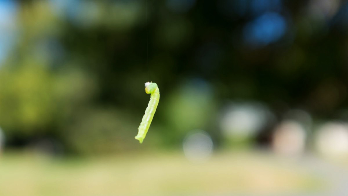 201605p104_f.jpg
