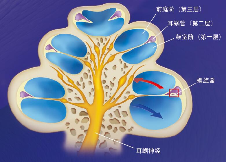 201605p80_f2.jpg