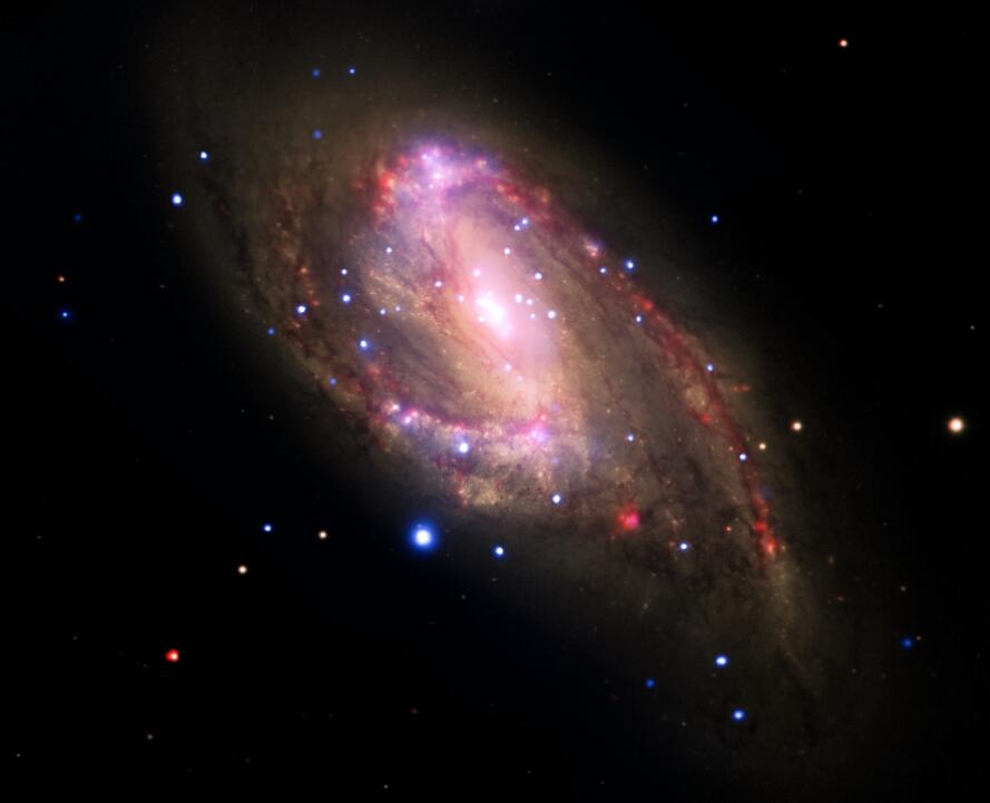 201603p73_f4.jpg